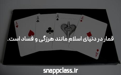 فسیل هایی را کشف کنید که داستان انقراض دایناسورها را تغییر می دهند