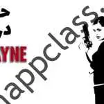 10 واقعیت جالب از سری مکس پین