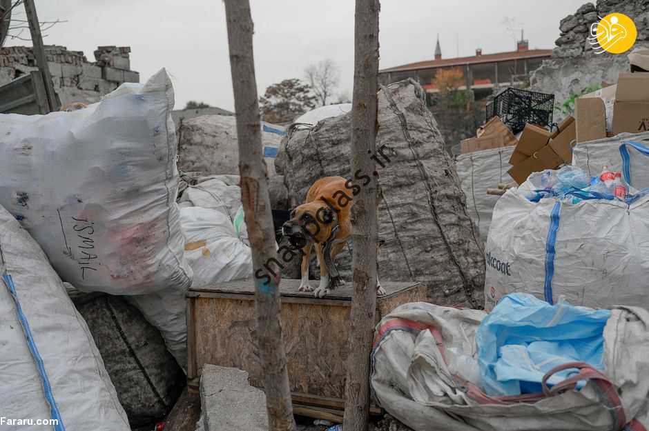 (ویدئو) تخلیه زباله برای پناهجویان در استانبول
