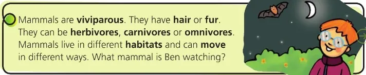What do animals eat